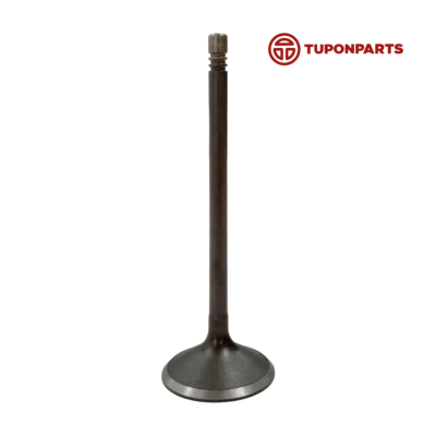 VALVULA DE ESCAPE CHEVROLET ORLANDO TUPONPARTS