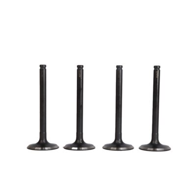 VALVULA DE ESCAPE (CON TRATAMIENTO AL CARBONO) RENAULT CLIO/SYMBOL/MEGANE/KANGOO/LOGAN 8V K7M MHW