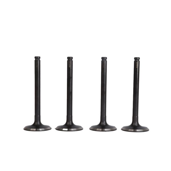 VALVULA DE ESCAPE (CON TRATAMIENTO AL CARBONO) RENAULT CLIO/SYMBOL/MEGANE/KANGOO/LOGAN 8V K7M MHW